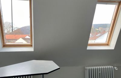 Historic Villa for sale Neustadt an der Weinstraße, Rhineland-Palatinate, Eindrücke aus dem Haupthaus 