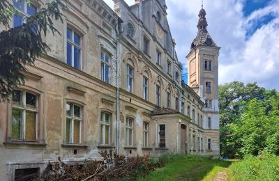 Castle for sale Jędrzychów, Pałac w Jędrzychowie, Lower Silesia,, Front view