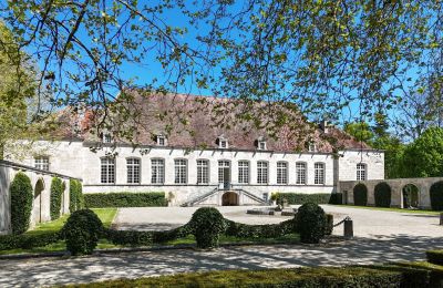 Manor House for sale Chaumont, Grand-Est, Garden