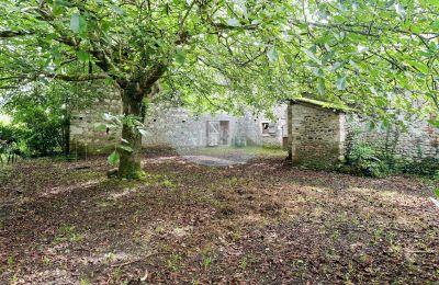 Historic property for sale Nay, New Aquitaine, Garden