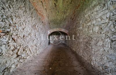 Castle for sale Vršovice, Zámek Vršovice, Ústecký kraj, Image 11/35
