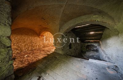 Castle for sale Vršovice, Zámek Vršovice, Ústecký kraj, Image 12/35