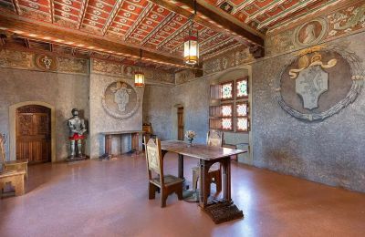 Medieval Castle for sale Pavone Canavese, Piemont, Image 12/38