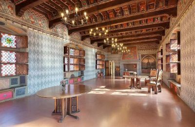 Medieval Castle for sale Pavone Canavese, Piemont, Image 5/38