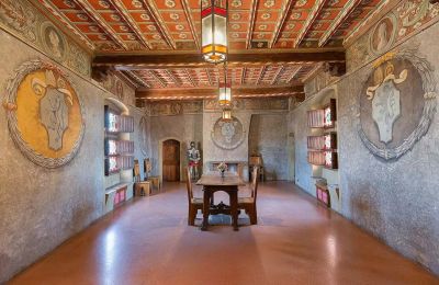Medieval Castle for sale Pavone Canavese, Piemont, Image 9/38