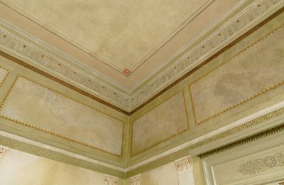 Manor House for sale 23881 Niendorf / Stecknitz, Schleswig-Holstein, Details