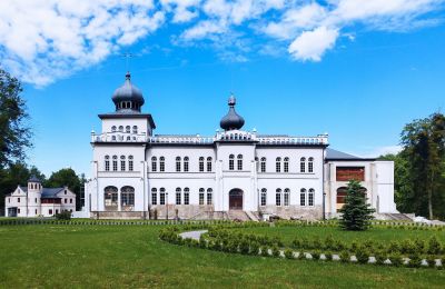 Castle for sale Osiek, Lesser Poland