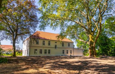 Castle for sale Środa Śląska, Pałac w Wojczycach, Lower Silesia, Image 4/23