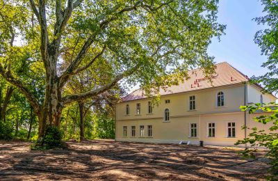 Castle for sale Środa Śląska, Pałac w Wojczycach, Lower Silesia, Image 5/23