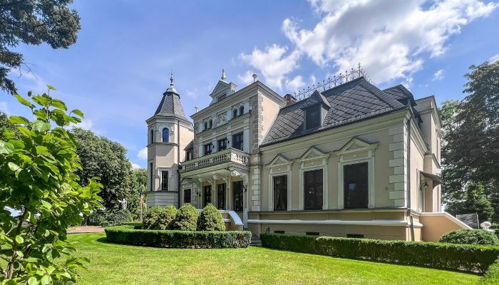 Manor house for sale Kuyavia-Pomerania