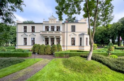 Manor house for sale Kuyavia-Pomerania, Back view