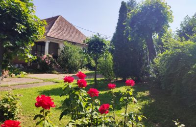 Manor House for sale Trnavský kraj, okres Hlohovec, Koplotovce, Frídeský kaštieľ, Region of Trnava, Vedlajšia kúria