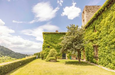 Historic Villa for sale Villamagna, Tuscany, Image 4/50
