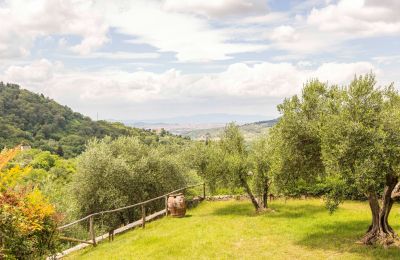 Historic Villa for sale Villamagna, Tuscany, Image 48/50