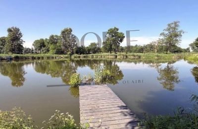 Historic properties, Country Estate with ponds and 22 acres of land near Warsaw