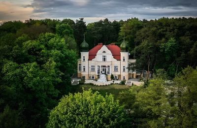 Historic properties, The Onion Palace - A villa build by Martin Dülfer