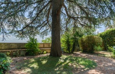 Historic Villa for sale Montecalvoli, Tuscany, Image 35/44