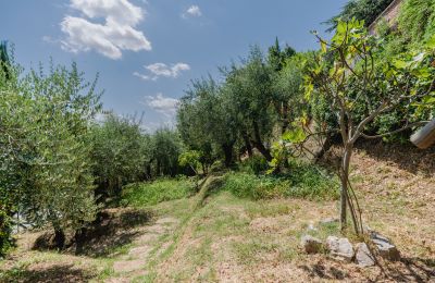 Historic Villa for sale Montecalvoli, Tuscany, Image 37/44