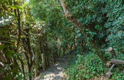 Historic Villa for sale Montecalvoli, Tuscany, Image 39/44