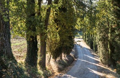 Historic Villa for sale Torrenieri, Tuscany, Access