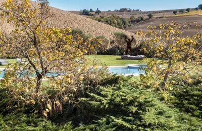 Historic Villa for sale Torrenieri, Tuscany, Image 31/41