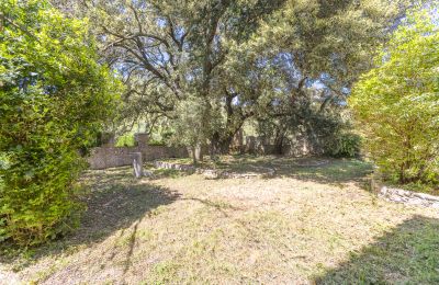 Medieval Castle for sale Vacone, Piazza del Municipio 1, Lazio, Image 6/35