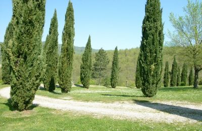 Historic Villa for sale 06019 Umbertide, Umbria, Image 19/22