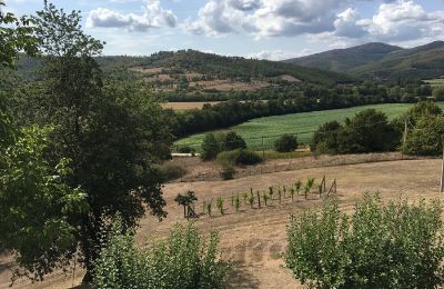 Historic Villa for sale 06019 Umbertide, Umbria, Image 21/22