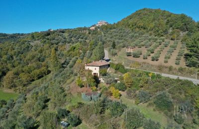 Country home 06010 Monte Santa Maria Tiberina, Umbria