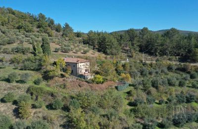Country home for sale 06010 Monte Santa Maria Tiberina, Umbria, Image 3/28