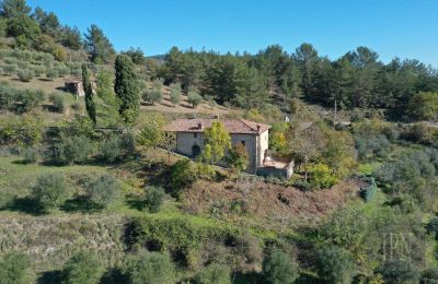 Country home for sale 06010 Monte Santa Maria Tiberina, Umbria, Image 4/28