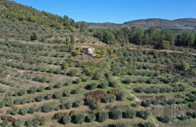 Country home for sale 06010 Monte Santa Maria Tiberina, Umbria, Image 5/28