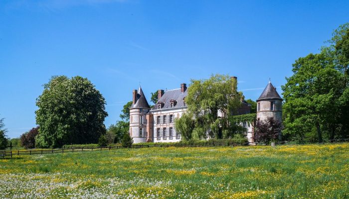 French château in Louis XIII style with 390 acres, woodland and historic interiors