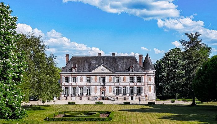 Castle for sale Sens, Burgundy-Franche-Comté,  France