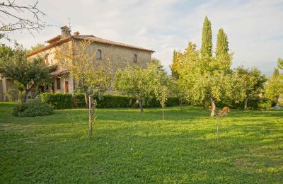 Country home for sale Lerchi, Umbria, Image 10/35