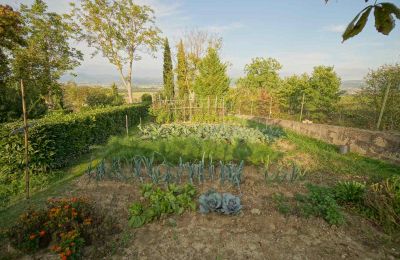 Country home for sale Lerchi, Umbria, Image 9/35