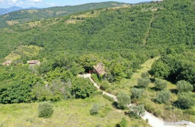 Historic properties, Fratticciola Project
