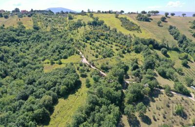 Country home for sale Perugia, Umbria, Image 6/23