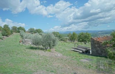 Historic villa for sale Monterchi, Tuscany, Image 22/24