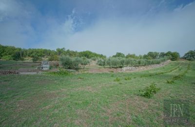 Historic villa for sale Monterchi, Tuscany, Image 23/24