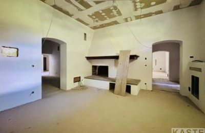 Historic Villa for sale San Giuliano Terme, Tuscany, Image 8/14