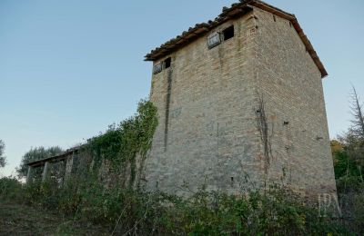 Country home for sale 06019 Umbertide, Umbria, Image 11/14