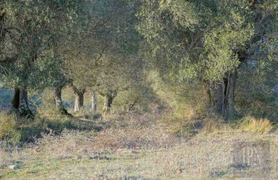 Country home for sale 06073 Corciano, Umbria, Image 32/42