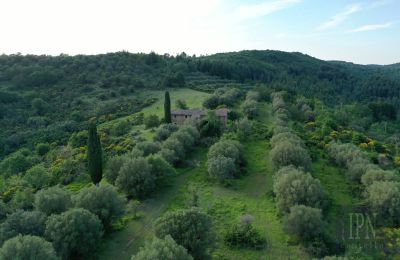 Country home for sale 06073 Corciano, Umbria, Image 6/42