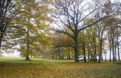 Historical park for sale Skorki, Mazovia,, Property