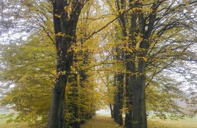 Historical park for sale Skorki, Mazovia,, Image 4/6