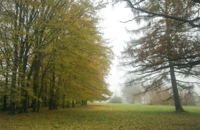 Historical park for sale Skorki, Mazovia,, Palace Garden
