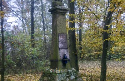 Historical park for sale Skorki, Mazovia,, Image 6/6