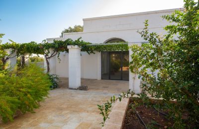 Country home for sale Ostuni, Strada Provinciale 21, Apulia, Image 31/33