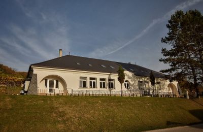 Manor House for sale Trenčiansky kraj, okres Trenčín, Melčice - Lieskové, Melčice, Region of Trenčín, Image 26/27